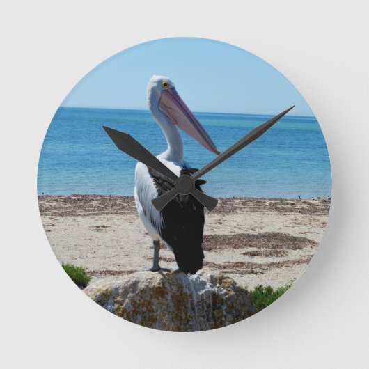 Horloge Ronde Pelican on Beach Rock (Recto)