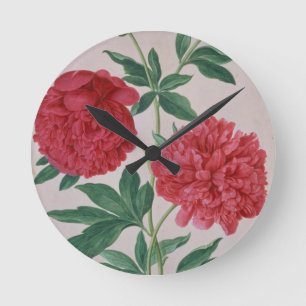 Horloge Ronde Peonies, assiette 46 du Nassau Florilegium (avec c