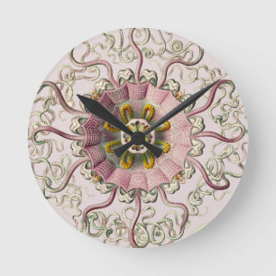 Horloge Ronde Peromedusae d'Ernst Haeckel