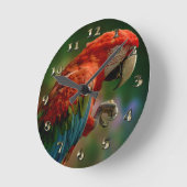 Horloge Ronde Perroquet coloré (Angle)