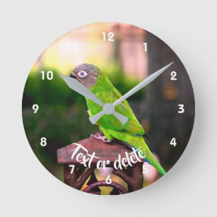 Horloge Ronde Perroquet de pâte feuilletée personnalisé