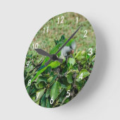 Horloge Ronde Perroquet vert (Angle)