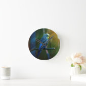 Horloge Ronde Perruche (Maison)
