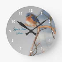 Personnalisation de la nature des oiseaux bleus