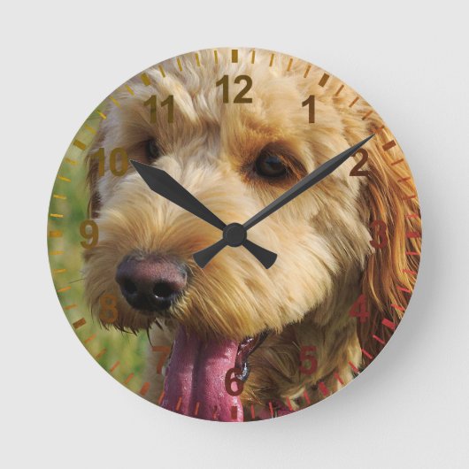 Horloge Ronde Petit chien Goldendoodle (Recto)