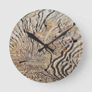 Horloge Ronde pétrifié