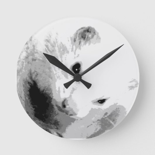 Horloge Ronde Photo Albino Ferret (Recto)