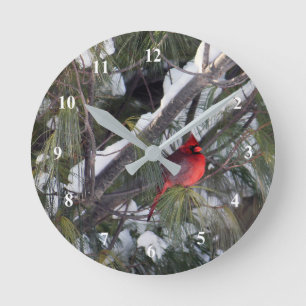 Horloge Ronde Photo Cardinal Pine des neiges