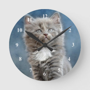 Horloge Ronde Photo Cute Grey and White Kitten