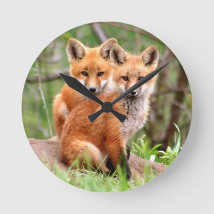 Horloge Ronde Photo de adorable red fox kits sitting together