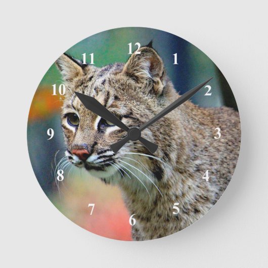 Horloge Ronde Photo de Bobcat Wildlife (Recto)