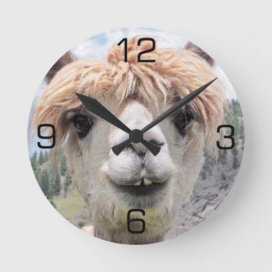 Horloge Ronde Photo de Cute Smiling Alpaca (Recto)
