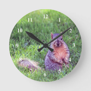 Horloge Ronde Photo de la faune de l'écureuil