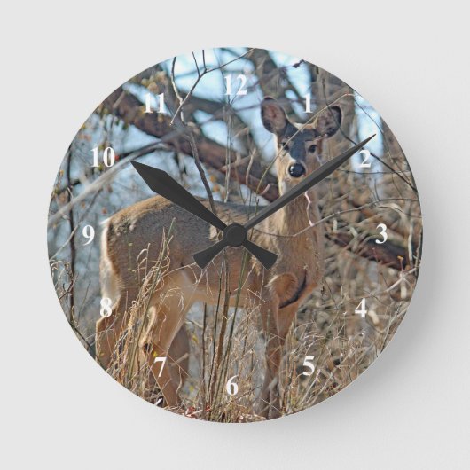 Horloge Ronde Photo de la faune Deer Woods (Recto)