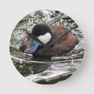 Horloge Ronde Photo de la faune Ruddy Duck