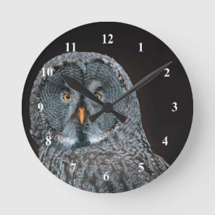 Horloge Ronde Photo de la Grande Chouette gris de la faune