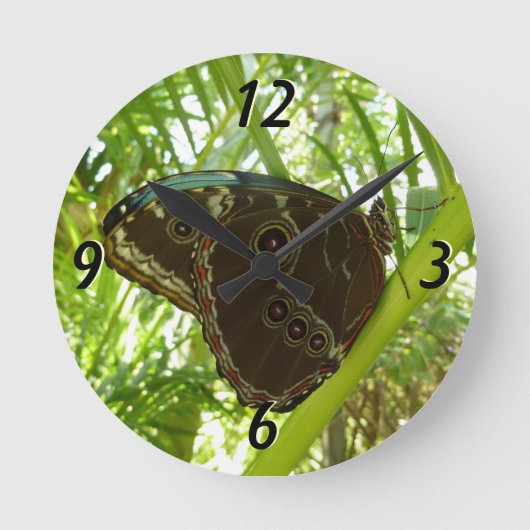 Horloge Ronde Photo de la nature du papillon bleu Morpho (Recto)