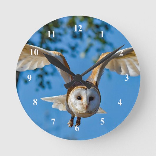 Horloge Ronde Photo de vol de Barn Owl (Recto)