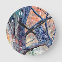 Photo de Wildlife Barred Owl Tree