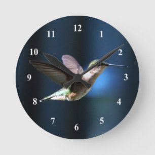 Horloge Ronde Photo de Wildlife Hummingbird