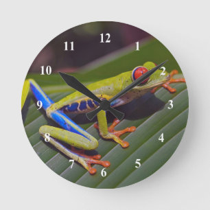 Horloge Ronde Photo Frog Red Eye
