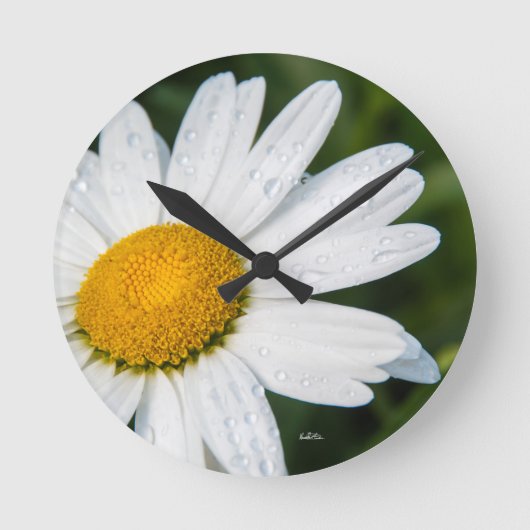 Horloge Ronde photo, une margueritte, font vert (Recto)