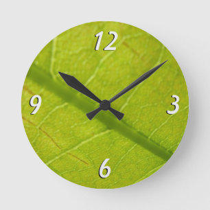 Horloge Ronde Photographie botanique de la nature à feuille vert