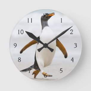Horloge Ronde Pingouin de Gentoo