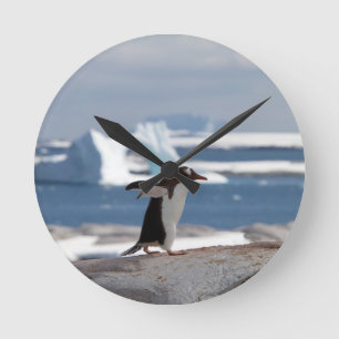 Horloge Ronde Pingouin devant une arche de glace
