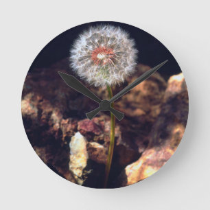 Horloge Ronde Pissenlit