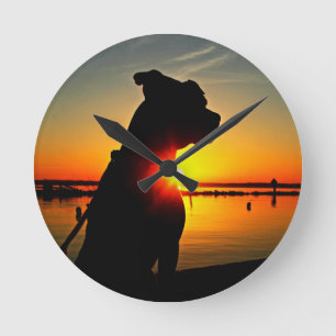 Horloge Ronde Pit Bull Sunrise