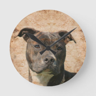 Horloge Ronde Pit Bull Terrier