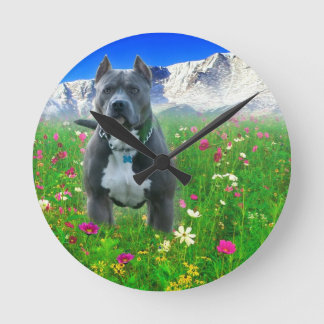 Horloge Ronde Pitbull Terrier américain bleu, crête de brochets