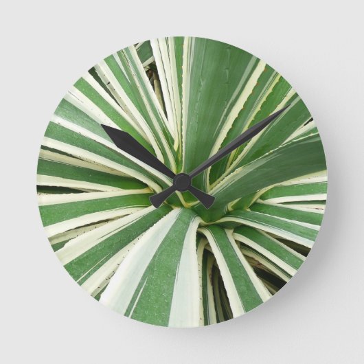 Horloge Ronde Plante Agave Vert et blanc rayé