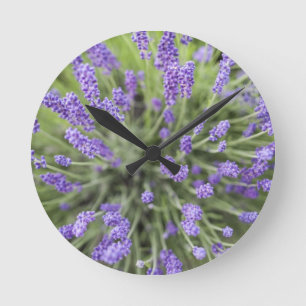Horloge Ronde Plantes de lavande