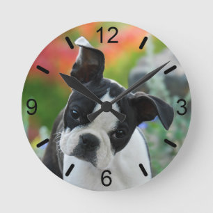 Horloge Ronde Plaque à cadran Boston Terrier Dog mignonne Chiot