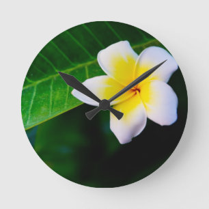 Horloge Ronde Plumeria