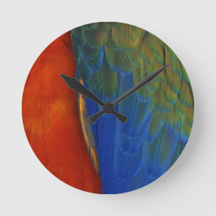 Horloge Ronde Plumes d'Ara
