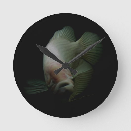 Horloge Ronde Poisson dans le portrait de réservoir (Recto)