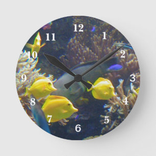 Horloge Ronde Poissons de récif coralien