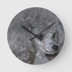 Horloge Ronde poodle-9.jpg