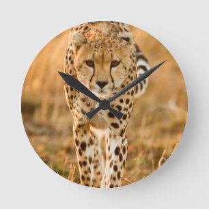 Horloge Ronde Portrait de guépard (Acinonyx Jubatus), Maasai