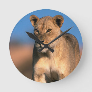 Horloge Ronde Portrait de lionne (Panthera Leo)