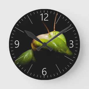 Horloge Ronde Portrait de mante en prière