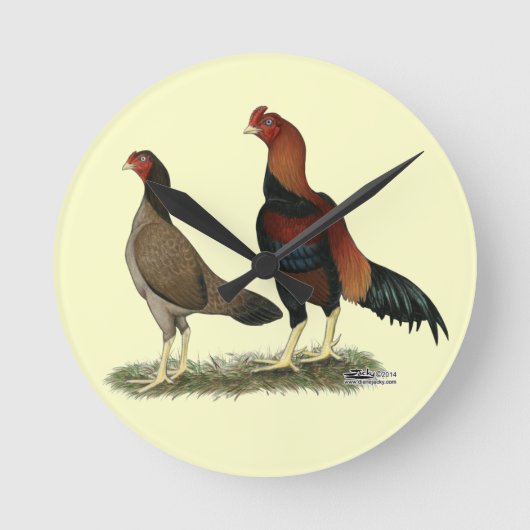 Horloge Ronde Poulets à roue d'Aseel (Recto)