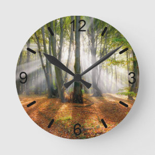 Horloge Ronde Poutres de soleil dans une forêt de hêtres brumeux