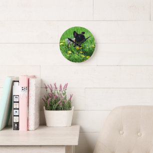 Horloge Ronde Prairie Bouledogue Français