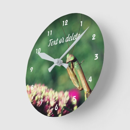 Horloge Ronde Praying Mantis (Angle)