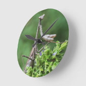 Horloge Ronde praytis (Angle)