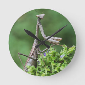 Horloge Ronde praytis